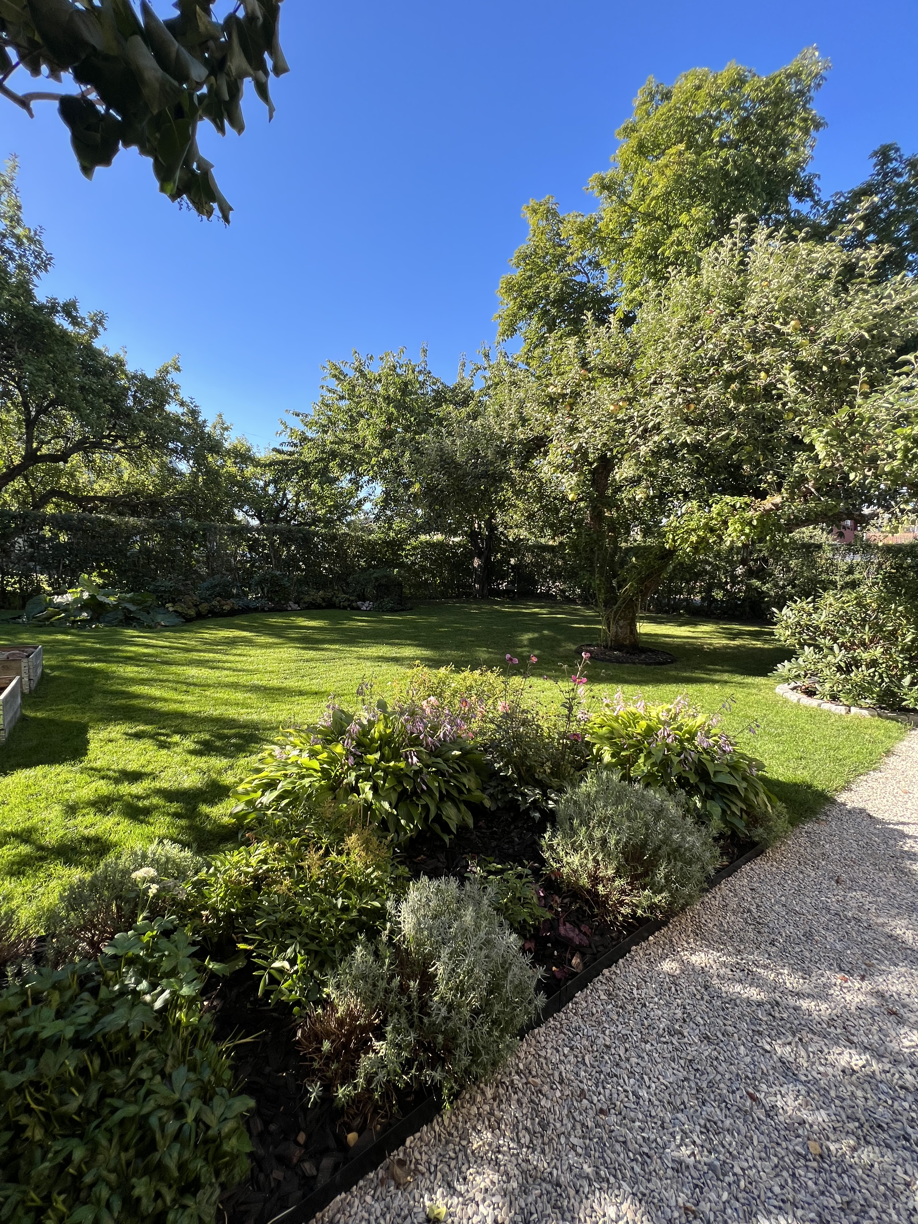 9CE5C1A2-F601-4B1A-A133-0C70B59B3F55