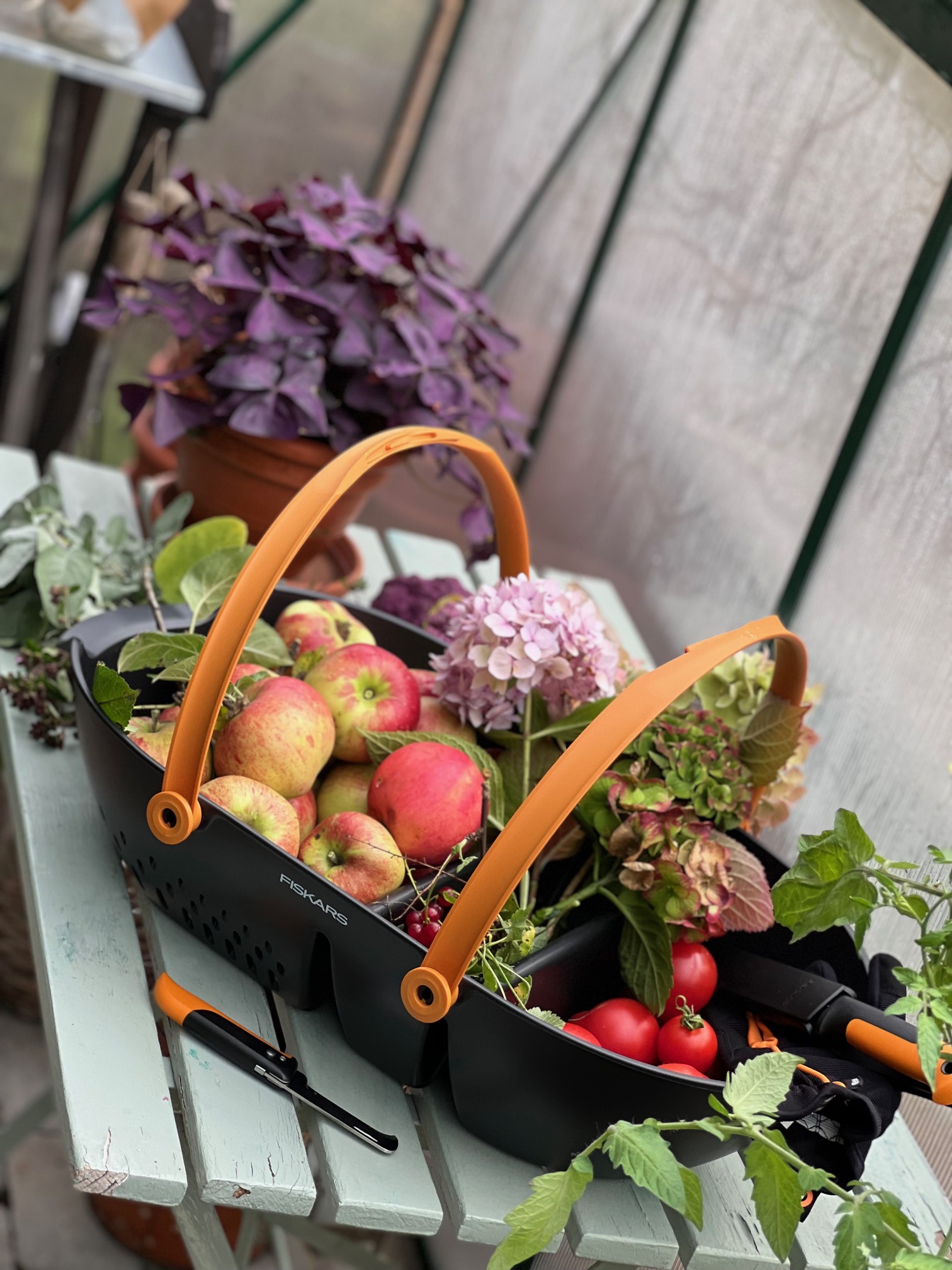 trädgårdsblommor, höstblommor, skördetid