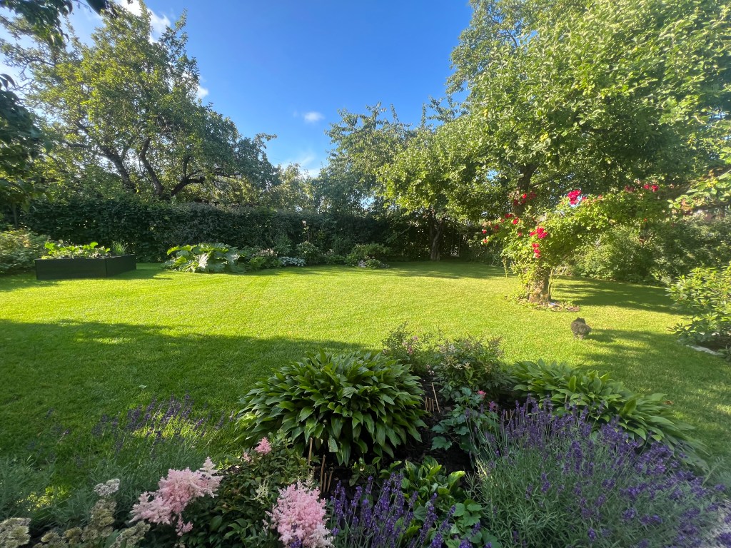 Robotgräsklippare är hemligheten bakom den perfekta&nbsp;gräsmattan