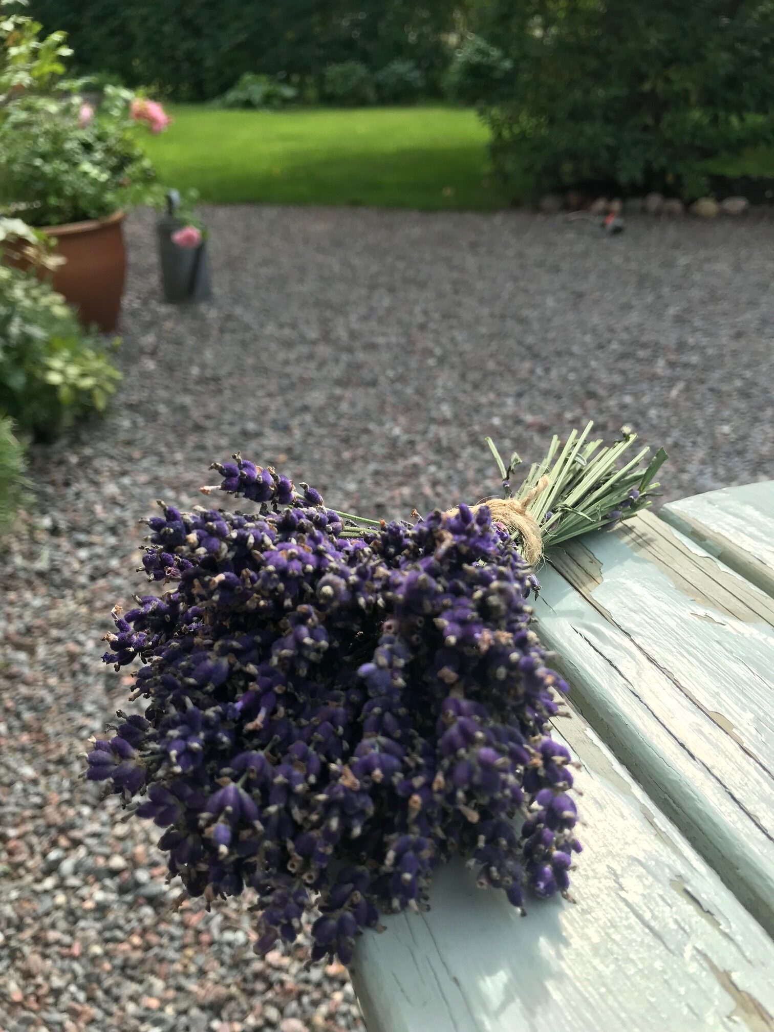 9FF4E9FE-8677-4F6E-8F87-60593315657C